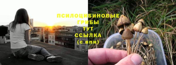 ECSTASY Армянск