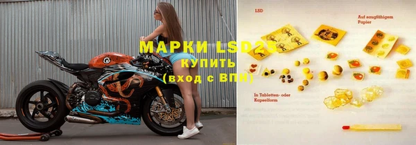 спиды Аркадак