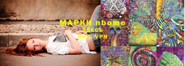 стаф Балахна