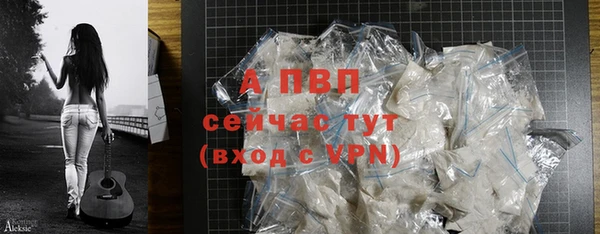 стаф Балахна